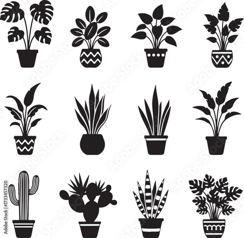Varied Houseplants in Pots: A selection of different indoor plants, each meticulously arranged in decorative pots.