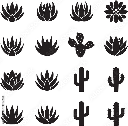 Botanical silhouettes: A collection of elegant botanical silhouettes offers a glimpse into the fascinating world of plants. Featuring various cacti and succulents.