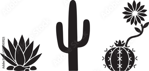 Desert botanical silhouettes: A minimalist monochrome arrangement showcasing the elegant forms of desert cacti, artfully conveying the beauty and resilience of arid-region flora.
