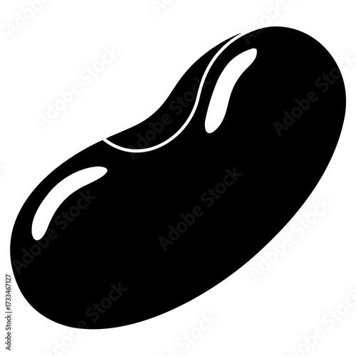 black and white slippers
