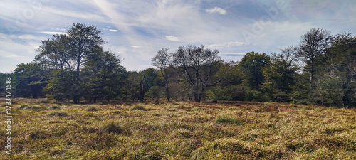Bosque y pradera del entorno del Salto del Nervión