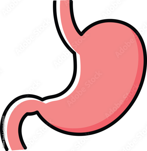 Representation of the Internal Human Stomach Organ for Digestive Health