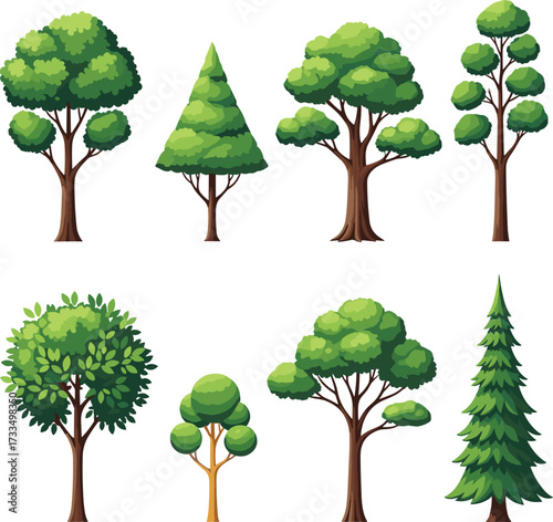 Stylized tree illustration, diverse foliage types, botanical elements, nature drawing, educational plant set, forest graphic, seasonal trees, vector template