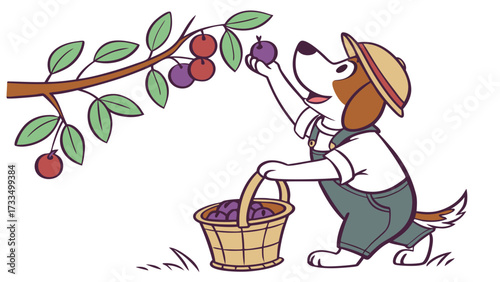 Cartoon Beagle Harvesting Plums from a Branch with a Wicker Basket