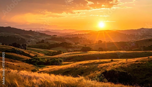 Bare Tree Silhouette Against a Foggy Winter Sky in a Minimalist Composition Under Soft Overcast Light