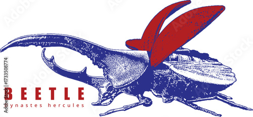 Hercules Beetle Long Horn Illustration Top Down. Blue Vintage Engraving. Red Text, Dynastes hercules. High Contrast Entomology T-Shirt Graphic.
