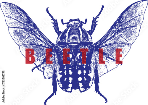 Flying Chafer Beetle Illustration Wings Spread. Blue Insect Graphic with Spots. Vintage Woodcut Style High Contrast Design. Entomology Nature Art.