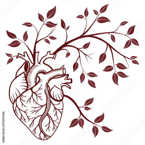 Anatomical heart illustration with growing branches and leaves symbolizing life growth and organic development in a stylized artistic design