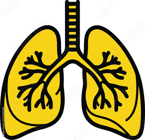 Illustration of human lungs with bronchi and branches, isolated on white background