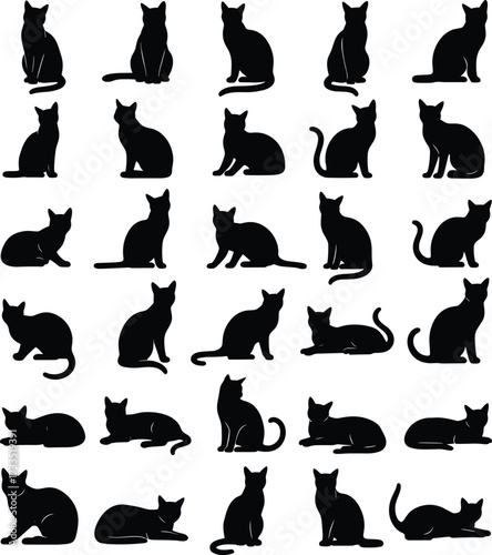 Cat silhouettes, black feline poses, sitting, stretching, lying down, turning head, animal posture, pet icons, vector design, shape comparison, behavior