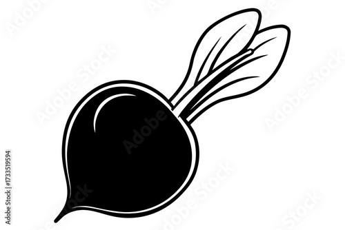 dark beetroot vegetable