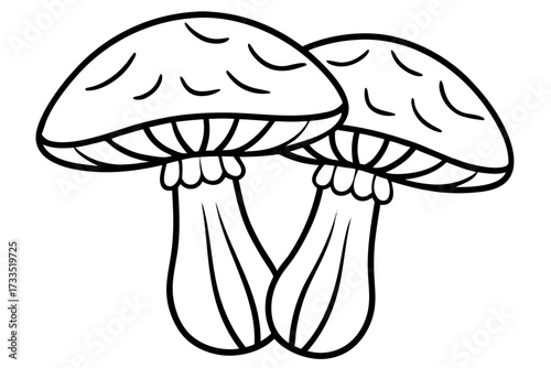 mushroom vector illustration