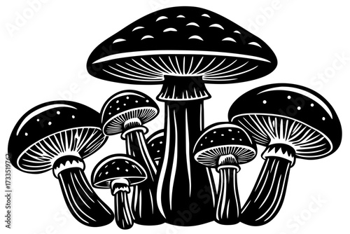 vector illustration of mushrooms