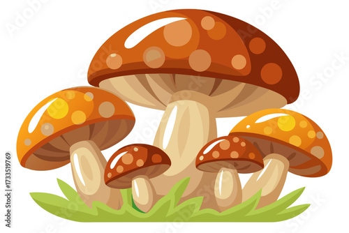 mushrooms on a white background