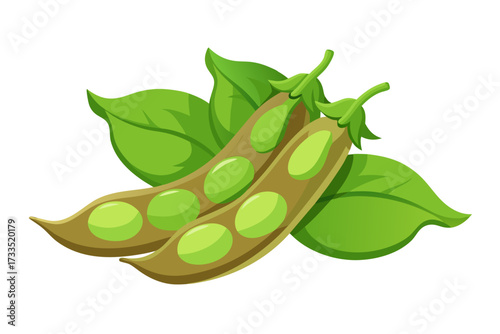 slim tender beans vegetable