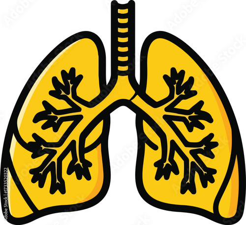 Illustration of human lungs and trachea isolated on white background