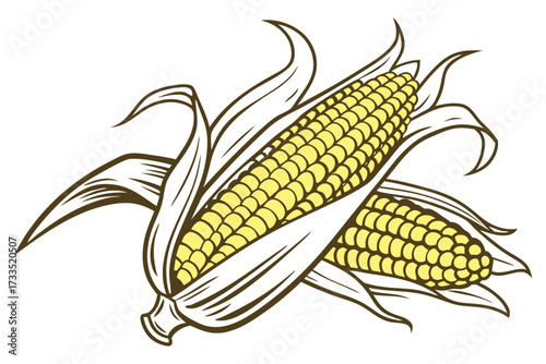 corn on a white background