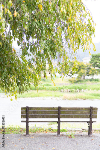 川沿いにある無人のベンチ。癒しの風景