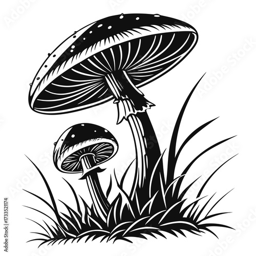 vector illustration of mushrooms