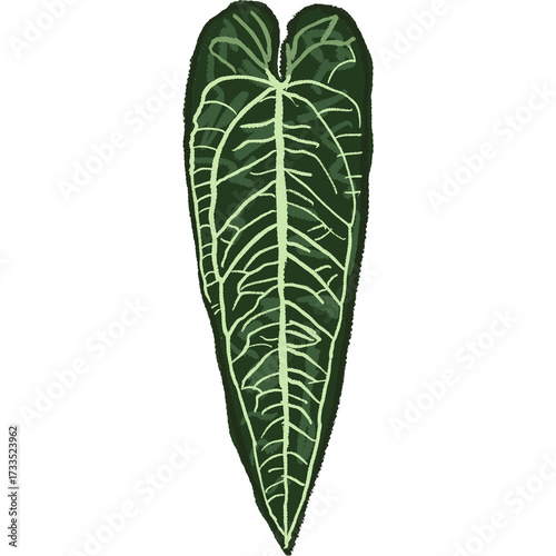 Drawing leaf illustrations unique ugly