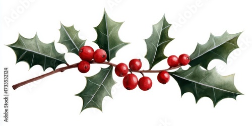Christmas holly branch. Red berries and leaves. Watercolor illustration. Festive winter foliage. scarlet fruit verdant leaf. botanical artwork for seasonal decor holiday greeting card