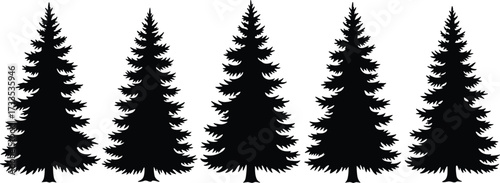Pine tree silhouette, black vector trees, evergreen forest graphic, nature clipart design, editable conifer icons, outdoor landscape illustration, minimal