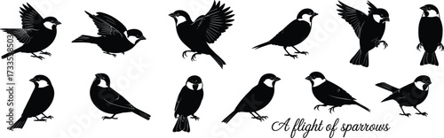 Sparrow silhouette vector, flying bird icons, perched sparrow shapes, black bird design, nature illustration, artistic avian graphics, isolated sparrows