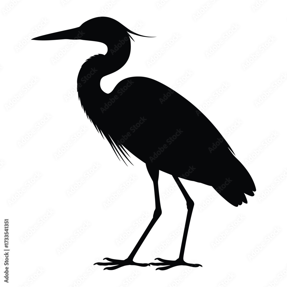 Obraz premium heron on a black background
