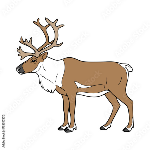 Minimalist caribou illustration in natural wilderness colors, wildlife and nature concept