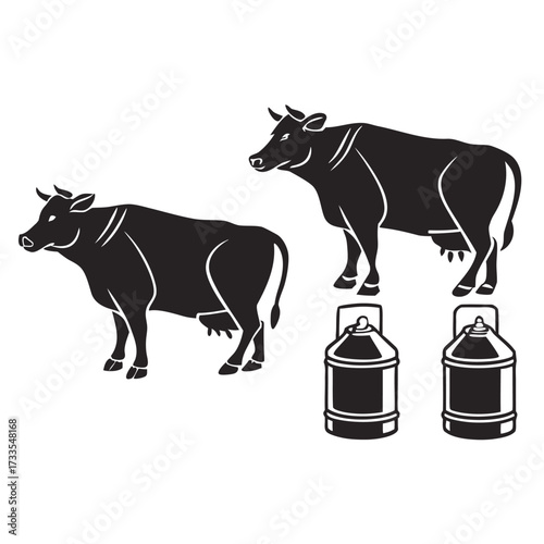black and white cow