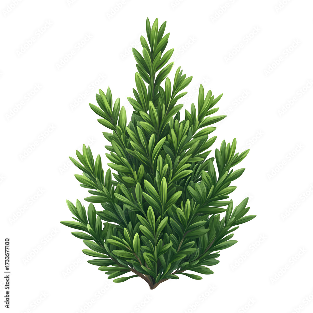 Fototapeta premium Isolated lush green plant for graphic design and illustration