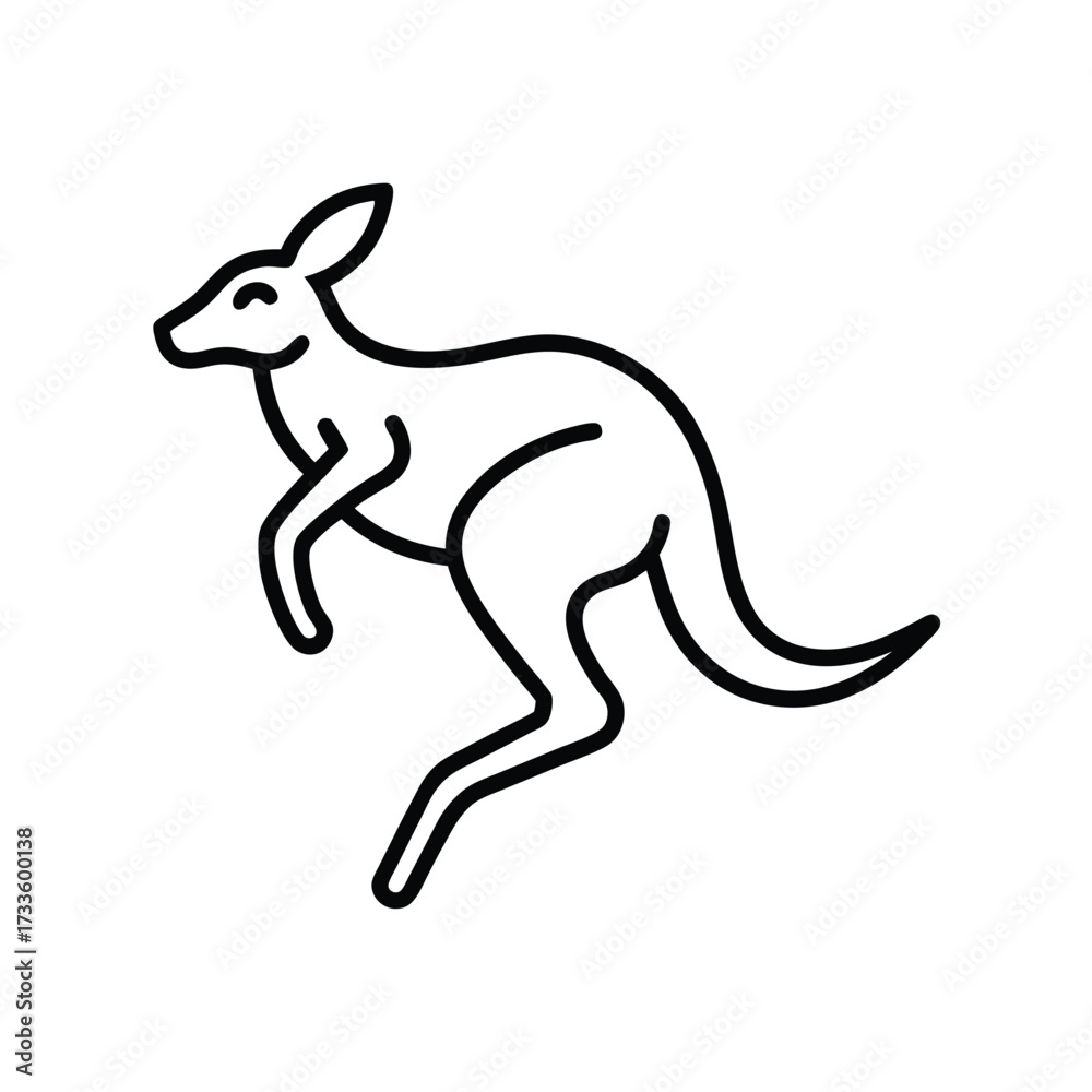 Obraz premium Kangaroo