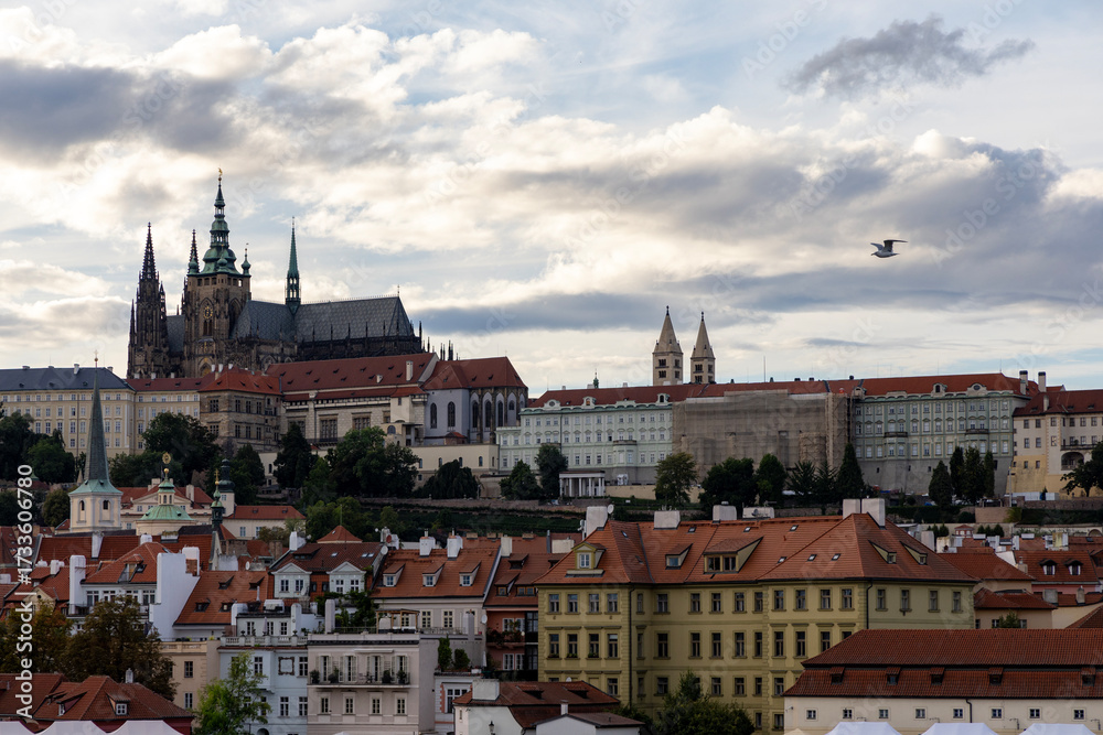 Obraz premium Prague cityscape. View of the city from above. Prague, Czech Republic.