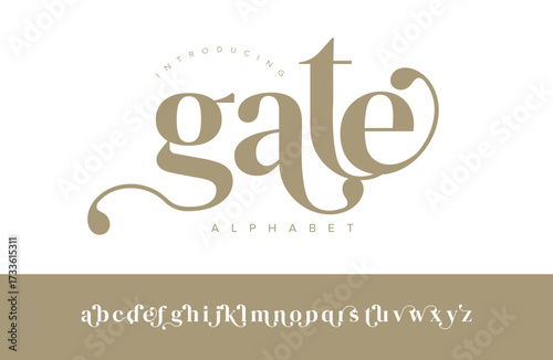 Stylish Gate alphabet font with unique decorative curves, perfect for branding, invitations, and luxury design projects