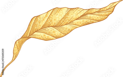Hand drawn vector autumn elements. Fall leaves, mushrooms, maple, acorns, berries, oak, pumpkins. Harvest time. Colored trendy illustration Autumn floral stickers