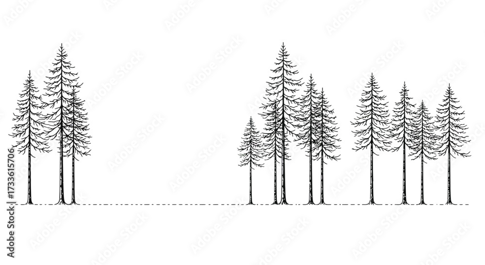 Fototapeta premium Minimalist Ink Drawing of Pine Trees Isolated on White Background, Nature Design