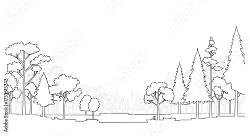 Minimalist Line Art Forest Landscape with Trees on a White Background
