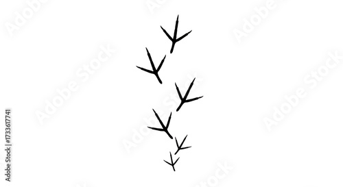 Illustration of bird footprints track isolated on transparent background