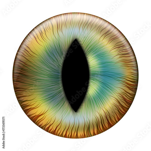 Yellow, brown, and blue cat eye with slit pupil. Contact lenses featuring a dragon, reptile, or crocodile. Vector illustration.