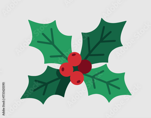 Merry Christmas holly leaves with red berries on white background