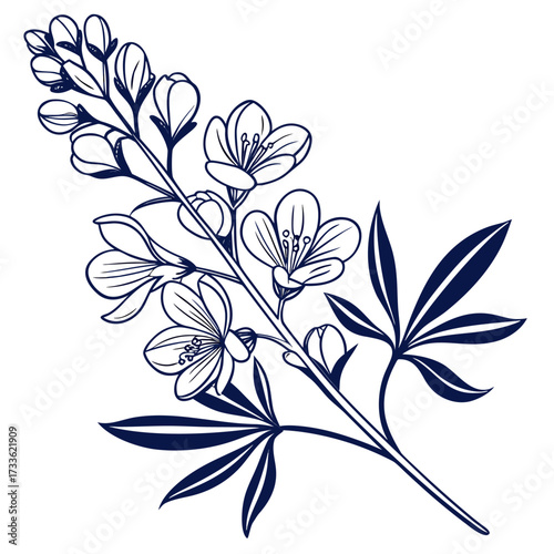 blue false indigo with leaves