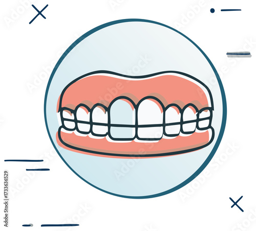 Dental prosthetics vector illustration featuring the teeth and pink gums in a round graphic design