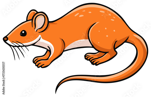 Cute Orange Dunnart Cartoon Illustration of a Marsupial Mouse