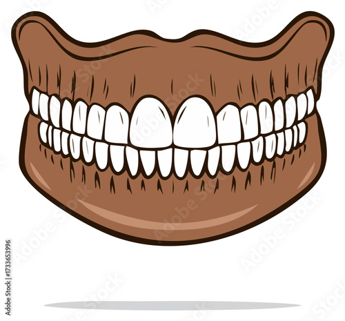Jawbone Model Showing Teeth and Gums for Dental Education or Medical Illustration