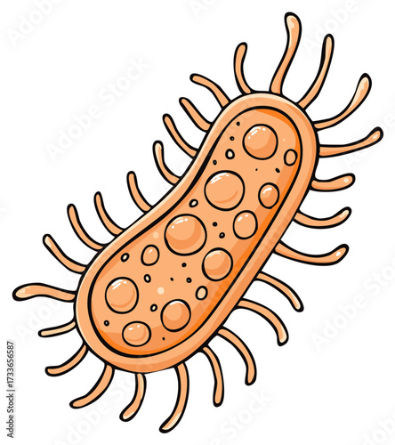 Illustration of a cartoon bacterium with orange color and dark outlines, with protruding appendages.