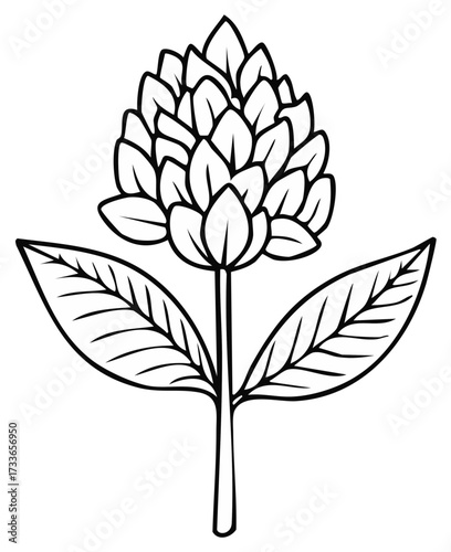 Black and White Line Art Illustration of a Stylized Hops Plant with Leaves and Stem