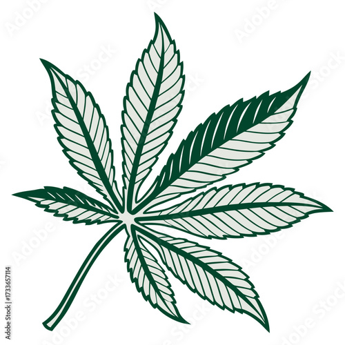 Green and light green cannabis leaf with outlined veins