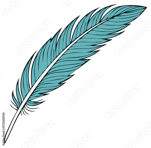 Single elegant teal feather with detailed veins and a slender quill isolated on white