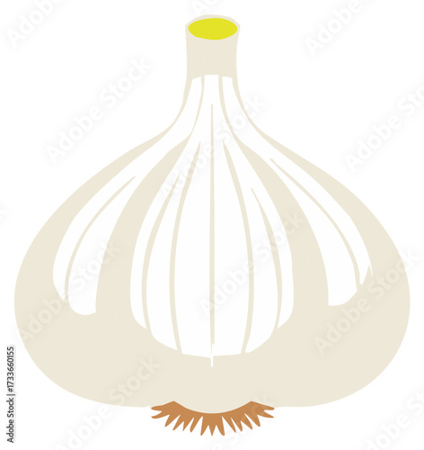 Isolated Garlic Bulb Graphic Illustration