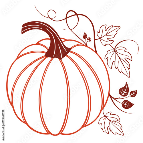 Pumpkin with Autumn Leaves and Vine Outline gourd squash